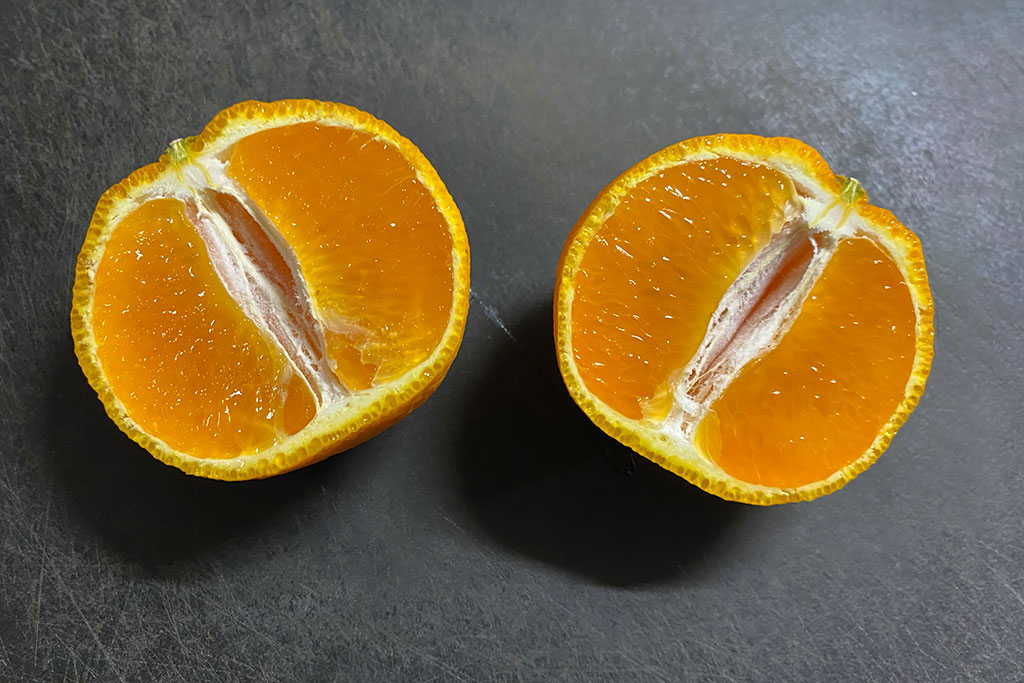 オレンジのようなデコポン