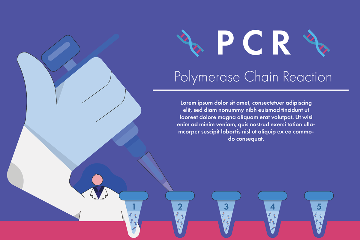 コロナウイルス PCR検査