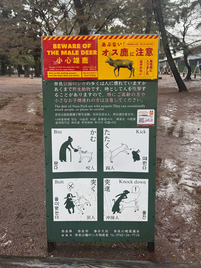 野生鹿の注意点
