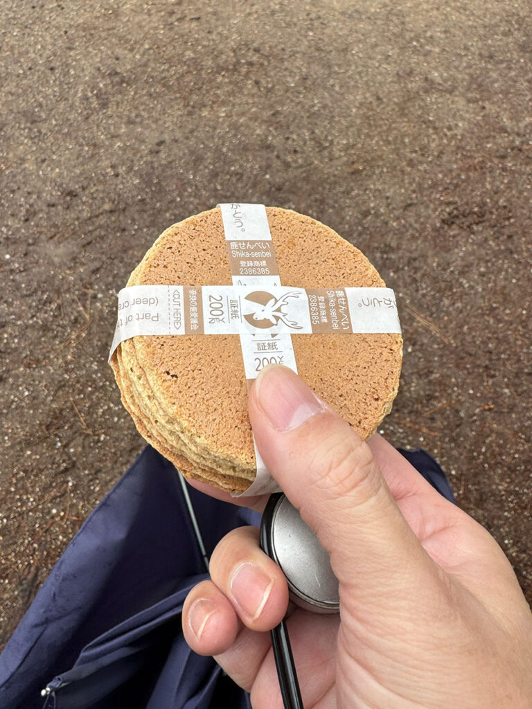 奈良公園の鹿せんべい
