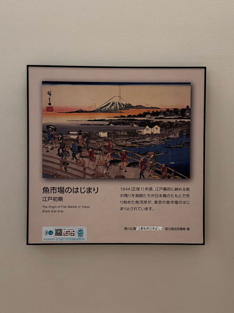 江戸の魚市場のはじまり 豊洲市場