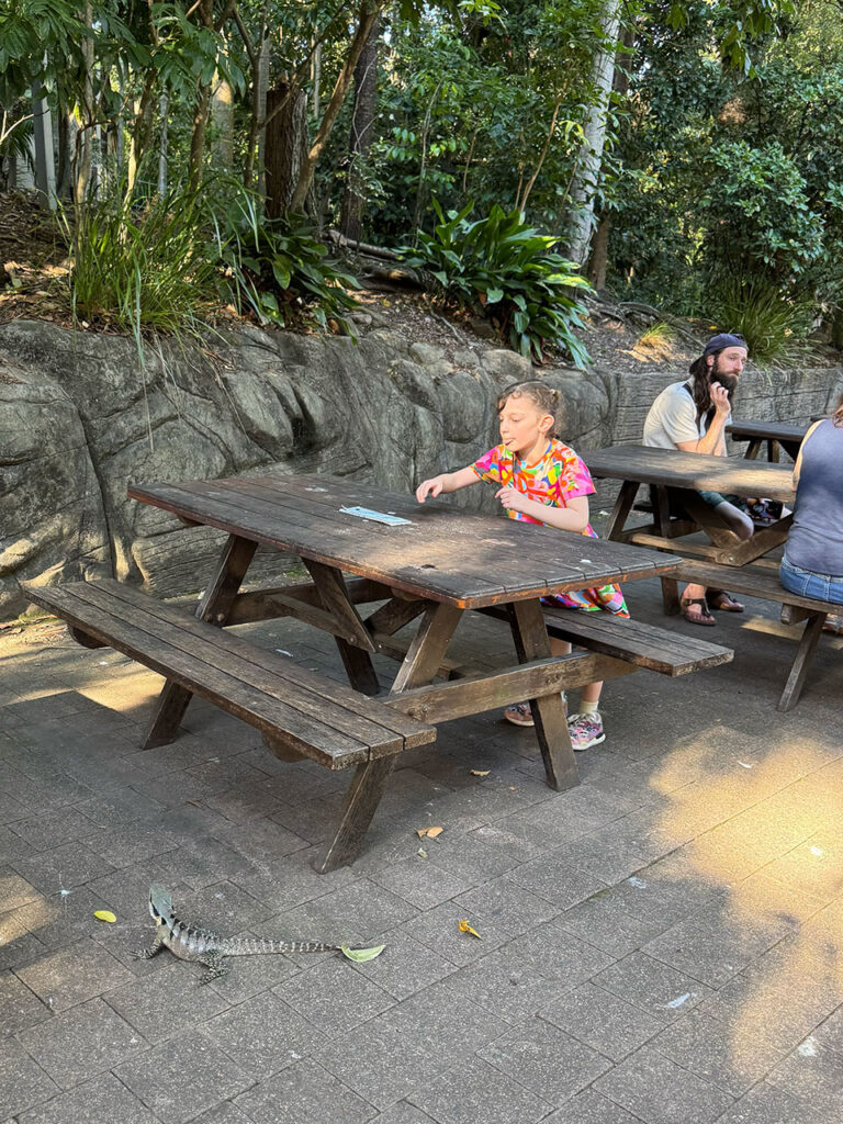 でかいトカゲは日常