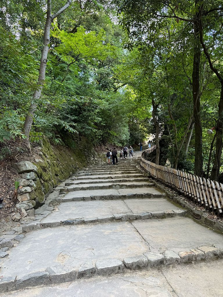 彦根城へ向かう石階段